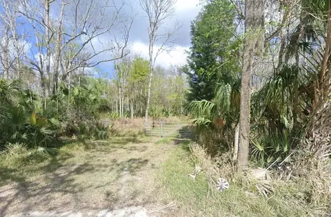 2625 Volco Rd, Edgewater, FL 32141