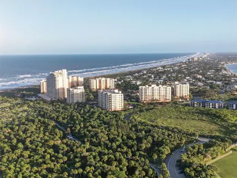 255 Minorca Beach Way #305, New Smyrna Beach, FL 32169