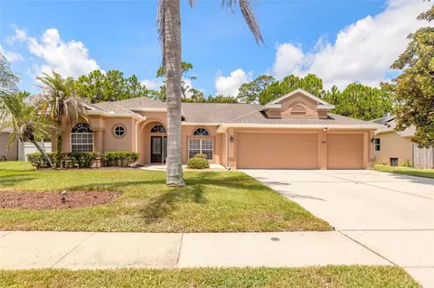3817 Birch Mountain Rd, Port Orange, FL 32129