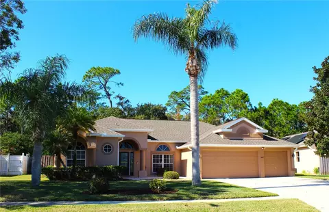 3817 Birch Mountain Rd, Port Orange, FL 32129