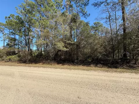 1573 Laurel Ave, Bunnell, FL 32110