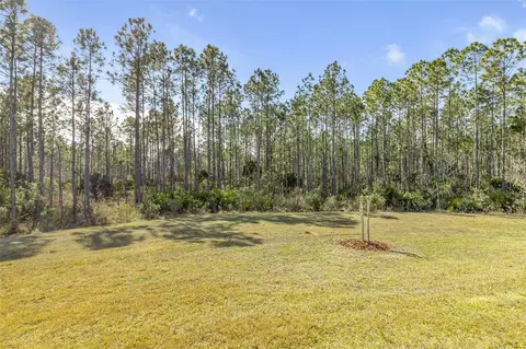 Exterior - 13 Newhaven Ln, Ormond Beach, FL 32174 photo 10 of 17