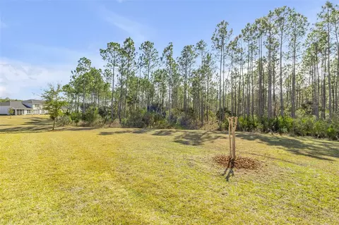 Exterior - 13 Newhaven Ln, Ormond Beach, FL 32174 photo 7 of 17