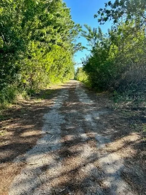 806 W Ariel Rd, Edgewater, FL 32141 photo 10