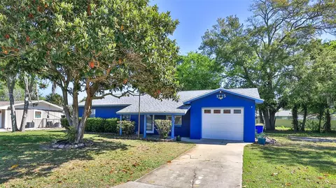 1915 Umbrella Tree Dr, Edgewater, FL 32141