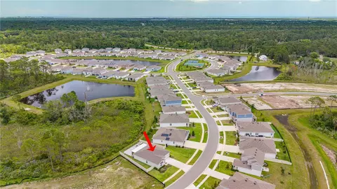 View/Area - 5317 Diamondleaf Dr, Edgewater, FL 32141 photo 5 of 6