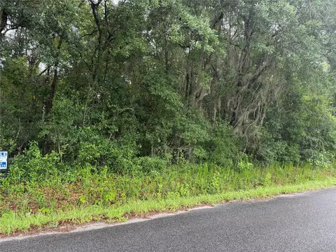 241 Dog Branch Rd, East Palatka, FL 32131
