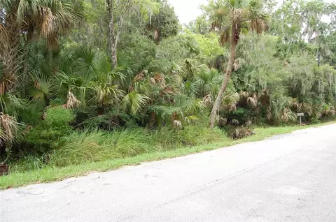 Palm Drive, New Smyrna Beach, FL 32168