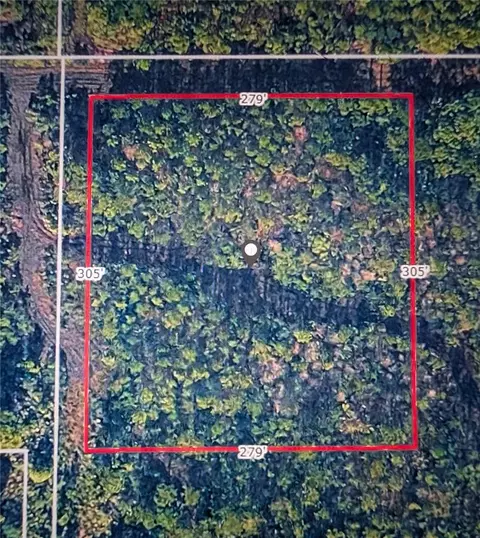 Misty Morgan Lane, New Smyrna Beach, FL 32168
