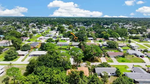 View/Area - 3216 Umbrella Tree, Edgewater, FL 32141 photo 3 of 3