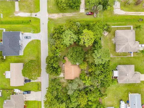 View/Area - 1430 Umbrella Tree Dr, Edgewater, FL 32132 photo 6 of 6
