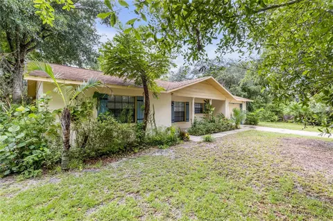 Other - 1430 Umbrella Tree Dr, Edgewater, FL 32132 photo 3 of 6