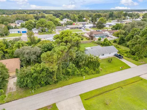 Umbrella Tree Drive, Edgewater, FL 32132 photo 3