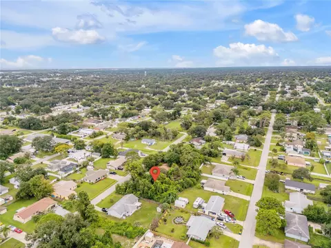 Umbrella Tree Drive, Edgewater, FL 32132 photo 5