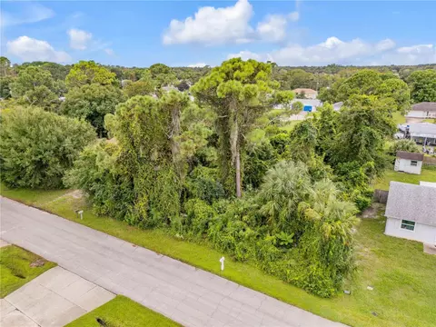 Umbrella Tree Drive, Edgewater, FL 32132 photo 4