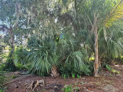 Pine Tree Drive, Edgewater, FL 32141 photo 10