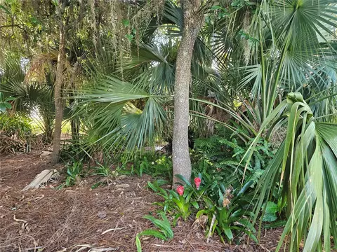 Pine Tree Drive, Edgewater, FL 32141 photo 8