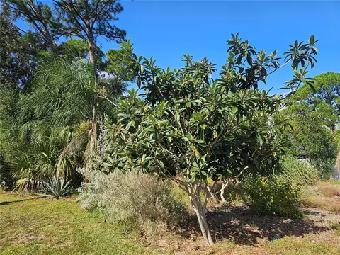 Pine Tree Drive, Edgewater, FL 32141 photo 4