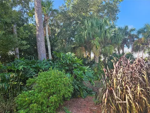 Pine Tree Drive, Edgewater, FL 32141 photo 7