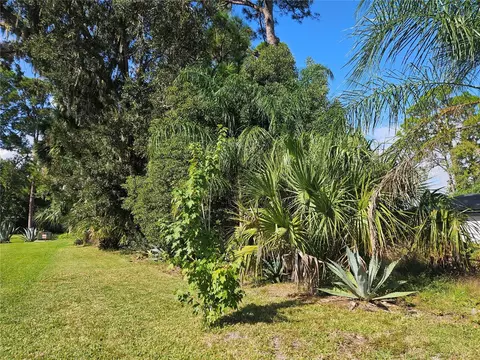 Pine Tree Drive, Edgewater, FL 32141 photo 5