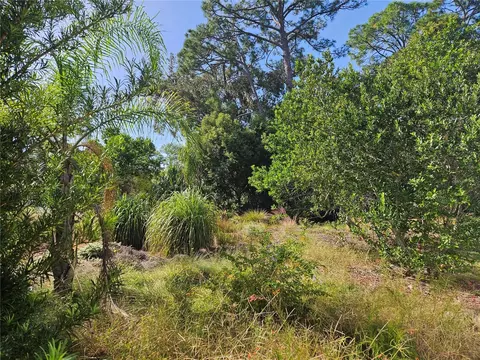 Pine Tree Drive, Edgewater, FL 32141 photo 2