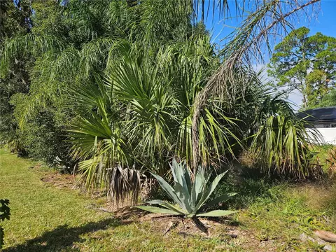 Pine Tree Drive, Edgewater, FL 32141 photo 6