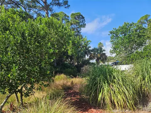 Pine Tree Drive, Edgewater, FL 32141 photo 3
