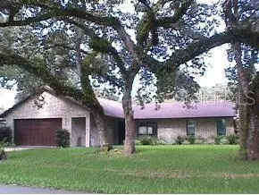 3035 Needle Palm Dr, Edgewater, FL 32141 photo 1