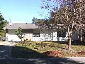 3309 Mango Tree Dr, Edgewater, FL 32141 photo 1