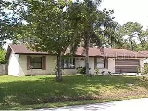 3034 Umbrella Tree Dr, Edgewater, FL 32141 photo 1