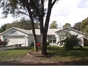 3416 Lime Tree Dr, Edgewater, FL 32141 photo 1