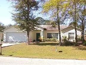 3322 Needle Palm Dr, Edgewater, FL 32141 photo 1
