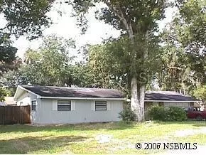 1910 Needle Palm Dr, Edgewater, FL 32141 photo 1