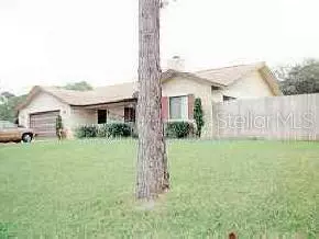 3203 Umbrella Tree, Edgewater, FL 32132 photo 1