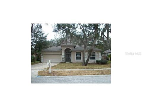 2446 Leaning Pne, Ocoee, FL 34761 photo 1