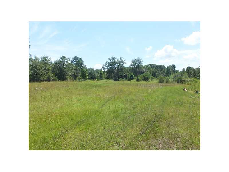 1237 W Garon Cv, Geneva, FL 32732 photo 1