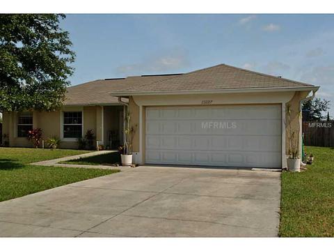 13227 Pinyon Dr, Clermont, FL 34711 photo 1