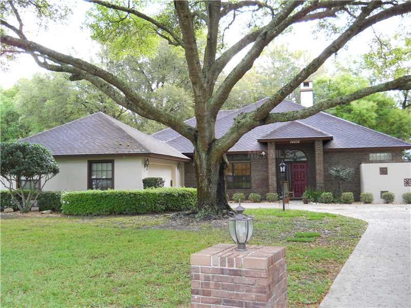 34638 Cattail Dr, Eustis, FL 32736 photo 1