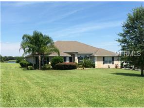 36826 Wolf Ct, Eustis, FL 32736 photo 1