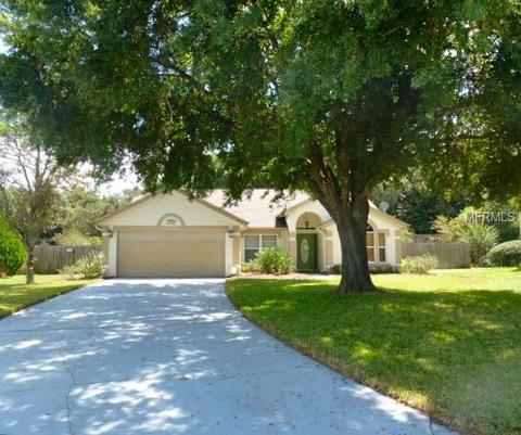 2118 Richfield Cove Dr, Ocoee, FL 34761 photo 1