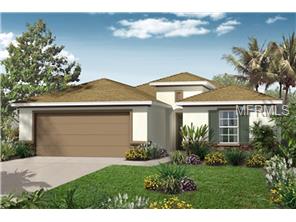 4604 Harvest Row Ln, Saint Cloud, FL 34772 photo 1