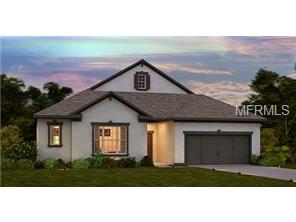 11824 Cross Vine Dr, Riverview, FL 33579 photo 1