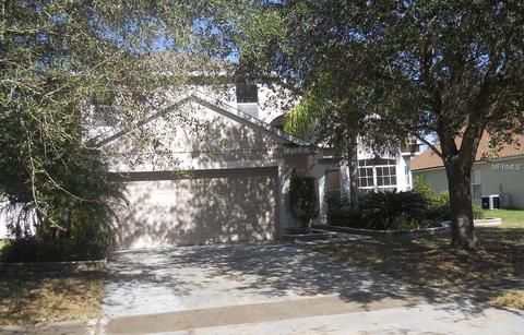 459 Fern Meadow Loop, Ocoee, FL 34761 photo 1