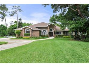 11063 Clipper Ct, Windermere, FL 34786 photo 1