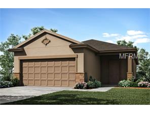 6313 Pin Cherry Pl, Riverview, FL 33578 photo 1