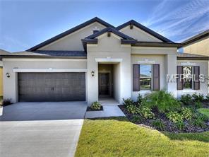 11808 Cross Vine Dr, Riverview, FL 33579 photo 1