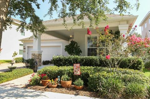 13237 Charfield St, Windermere, FL 34786 photo 1