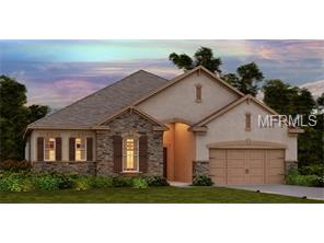 11806 Cross Vine Dr, Riverview, FL 33579 photo 1