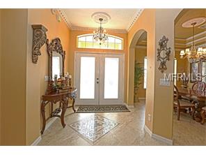555 Belhaven Falls Dr, Ocoee, FL 34761 photo 1