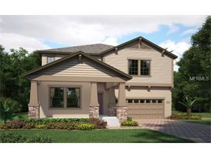 11816 Twilight Darner Pl, Riverview, FL 33569 photo 1